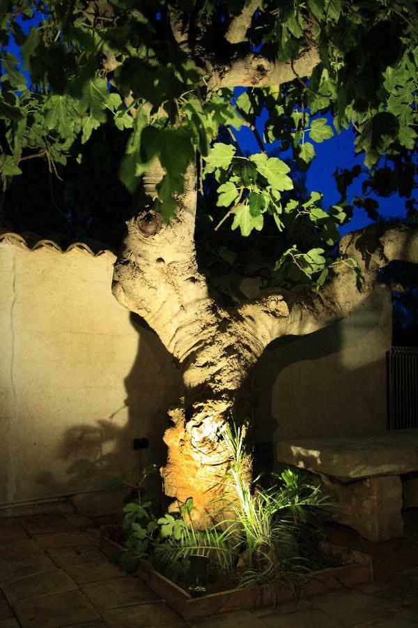 Les Bastidieres - Cap Brun Toulon Luaran gambar